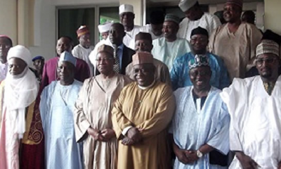 nothern elders